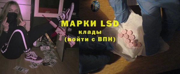 PSILOCYBIN Алзамай