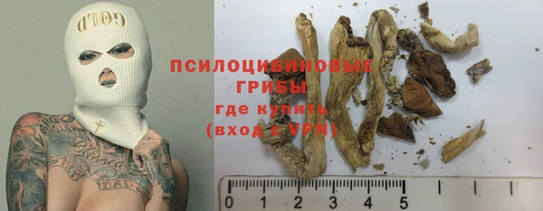 прущий лед Алексин