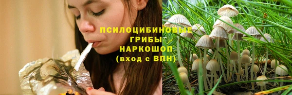 PSILOCYBIN Алзамай