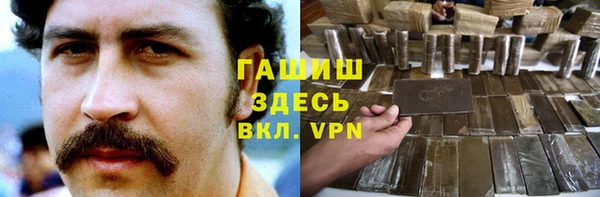 PSILOCYBIN Алзамай